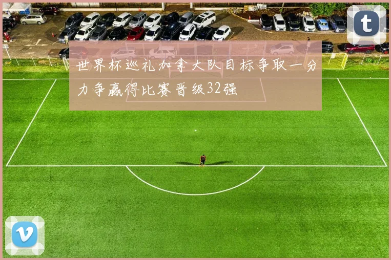 世界杯巡礼加拿大队目标争取一分力争赢得比赛晋级32强