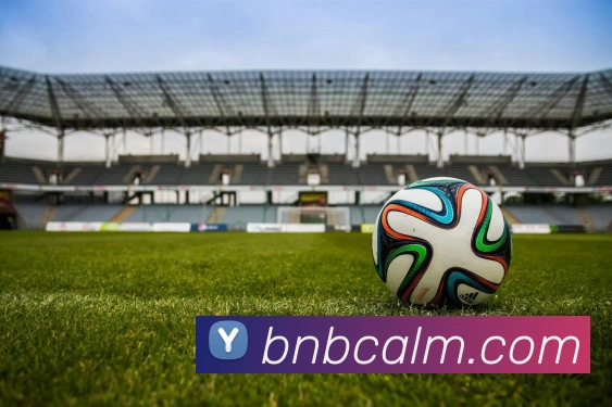 爱体育官网APP 高清赛事图